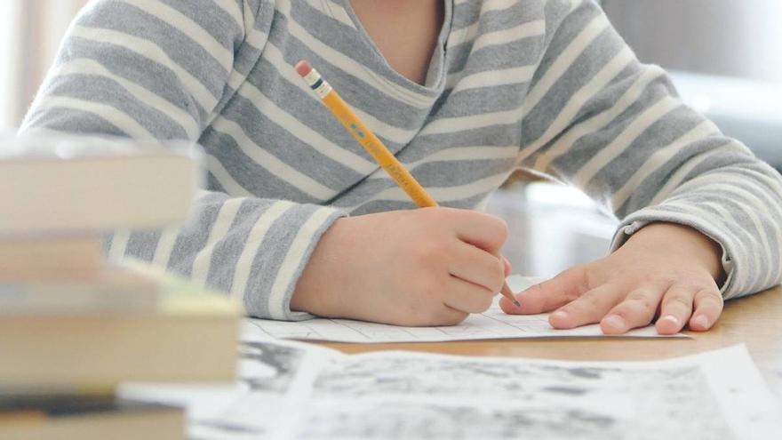 Al Departamento de Educación