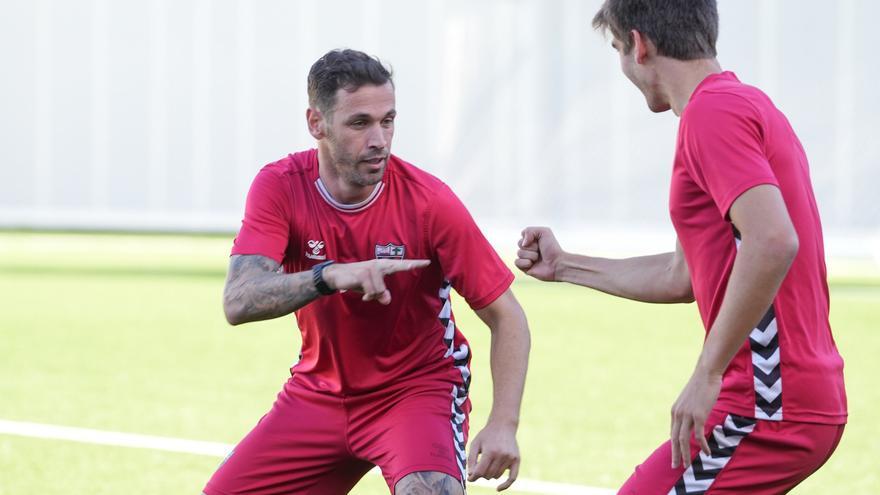 Un perico con nido en Bizkaia