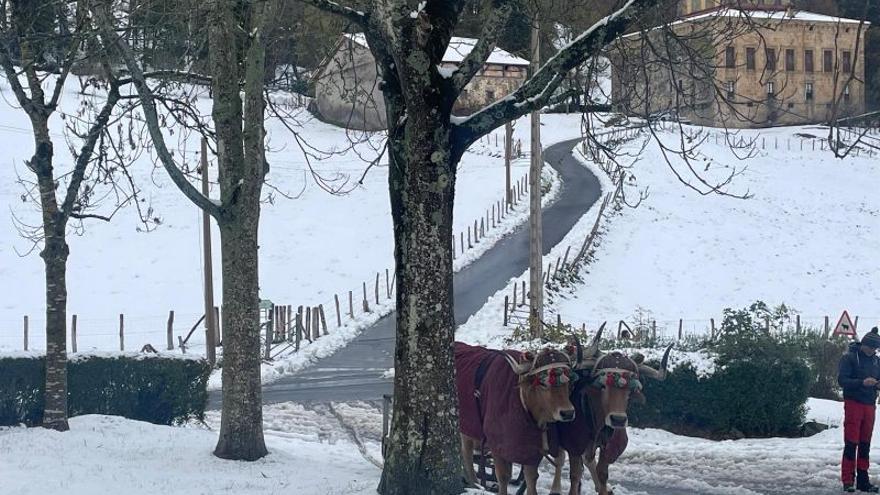 La nieve, protagonista del día en Urola Garaia