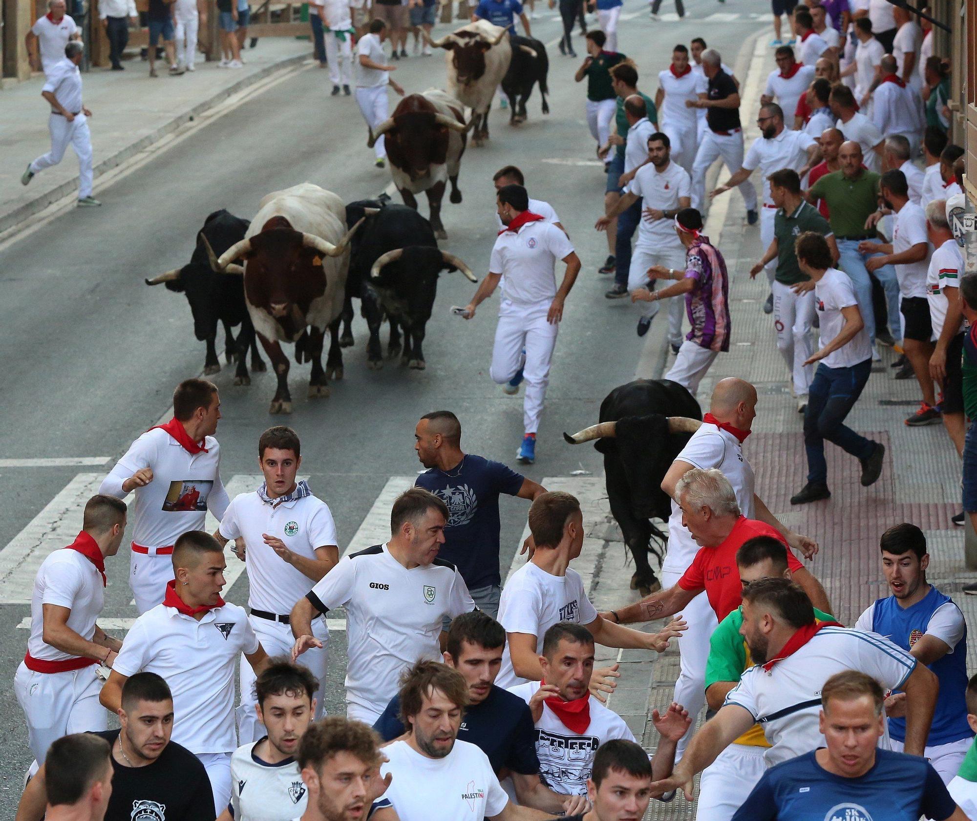 Fotos del primer encierro de fiestas de Tafalla