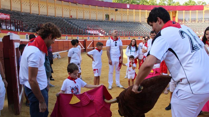 La Fundación Franz Weber denuncia el “adoctrinamiento taurino” a menores en Tudela