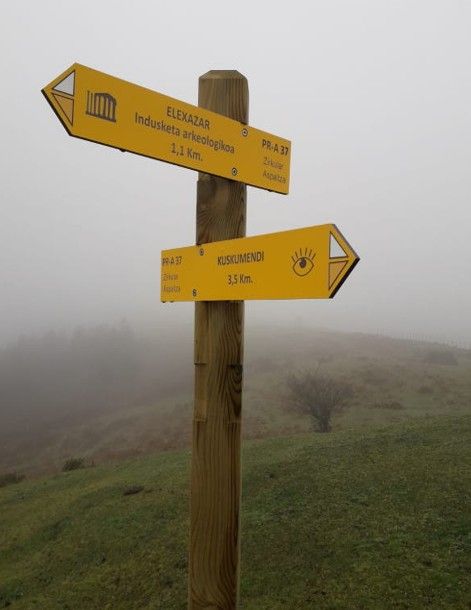 Postes de señalización en un área forestal de Amurrio