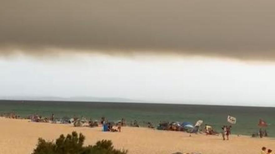 Incendio en Tarifa: un violento fuego obliga a evacuar a unas 1.500 personas y a desalojar campings y hoteles llenos.