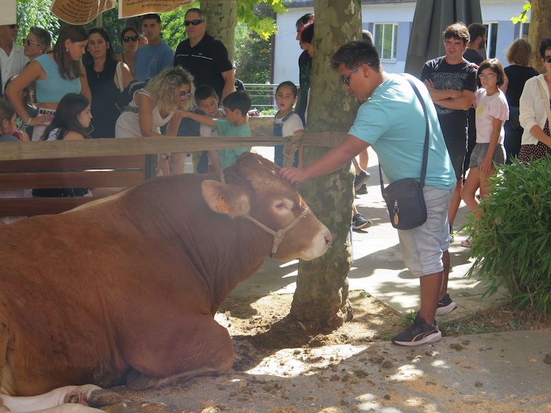 Los urretxuarras lo dan todo en las fiestas de Santa Anastasia