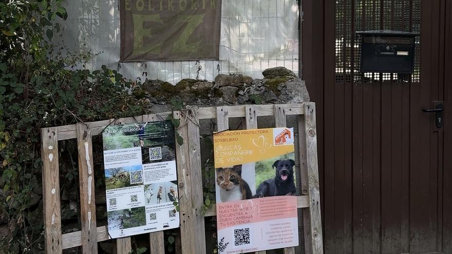 "Los perros aguantan peor las temperaturas altas": así afecta la ola de calor a los animales