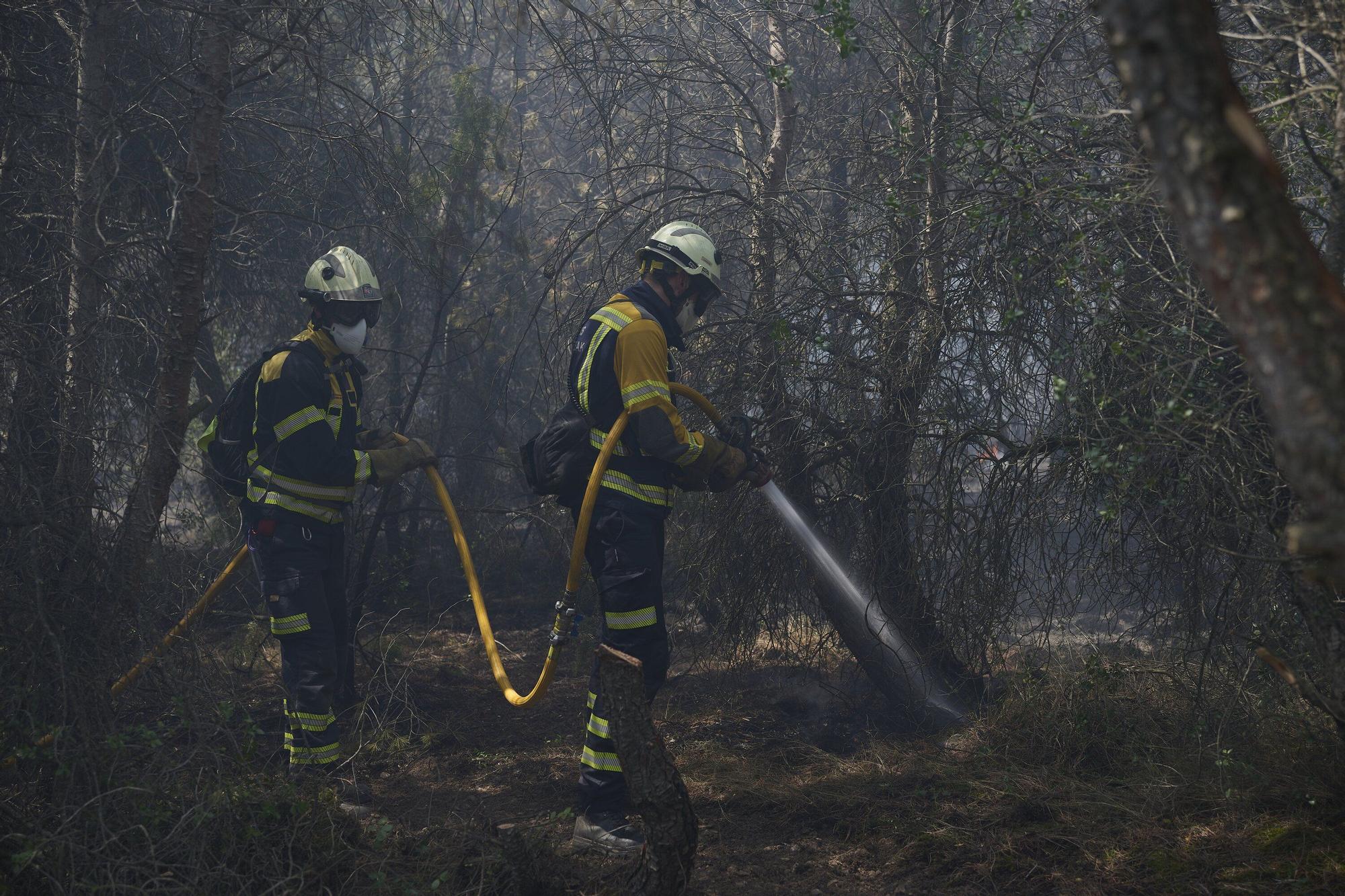 Fotos del incendio forestal cerca de Carcastillo