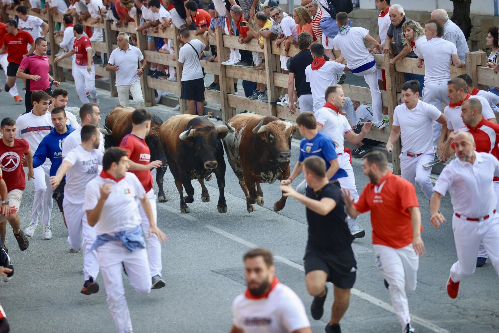 Fotos del tercer encierro de fiestas de Tafalla 2025