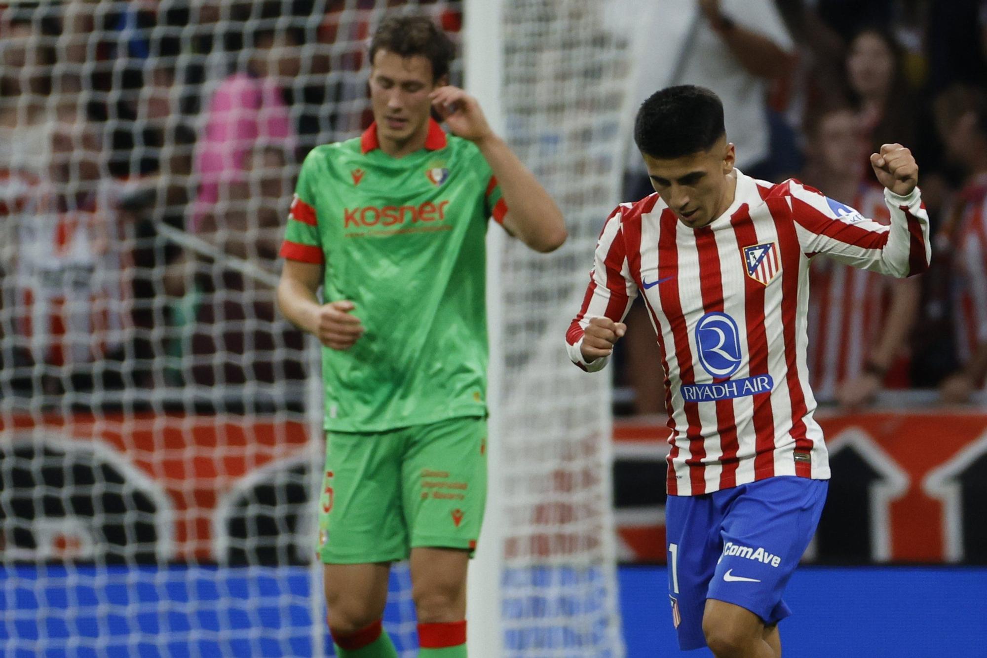 Fotos del partido Atlético de Madrid-Osasuna