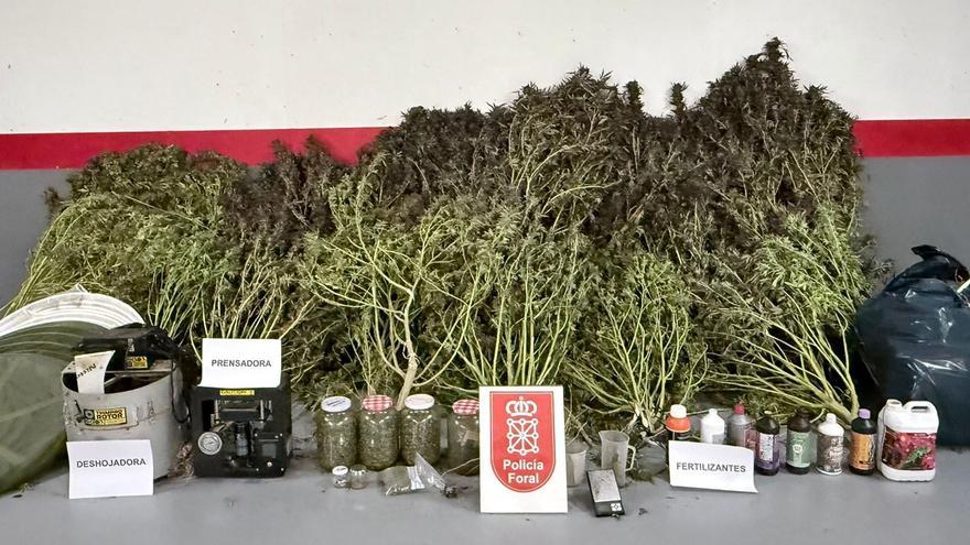 Cuatro detenidos por distintos delitos contra la salud en Navarra