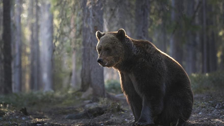 Eneko Espino lleva a Artes y Oficios 'La tierra también nos mira'