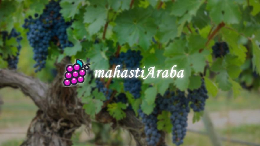 Arabako Aldundiak MahastiAraba plataformaren zerbitzuak indartu ditu