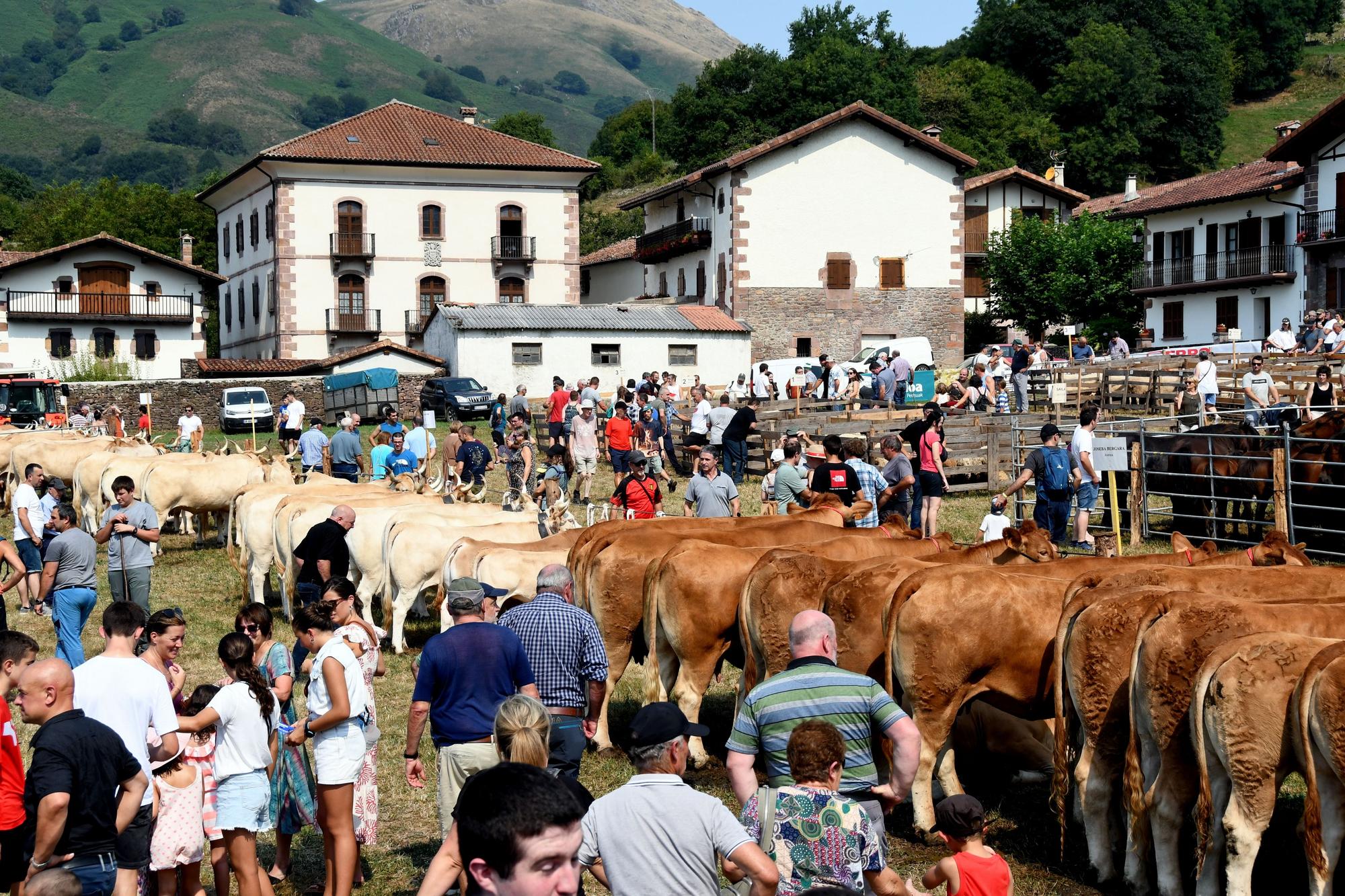 Artzai Eguna en Amaiur