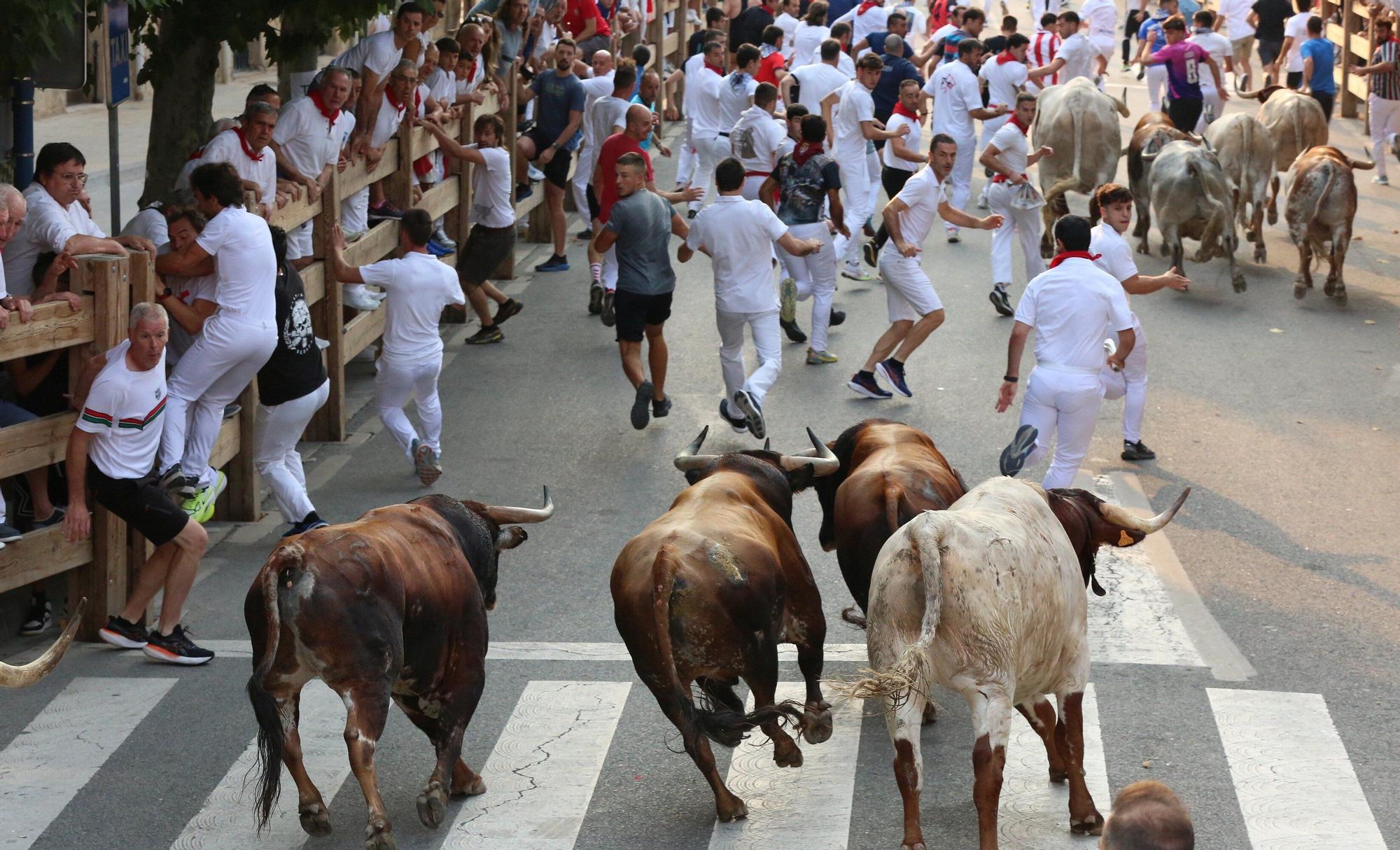 Fotos del tercer encierro de fiestas de Tafalla 2025