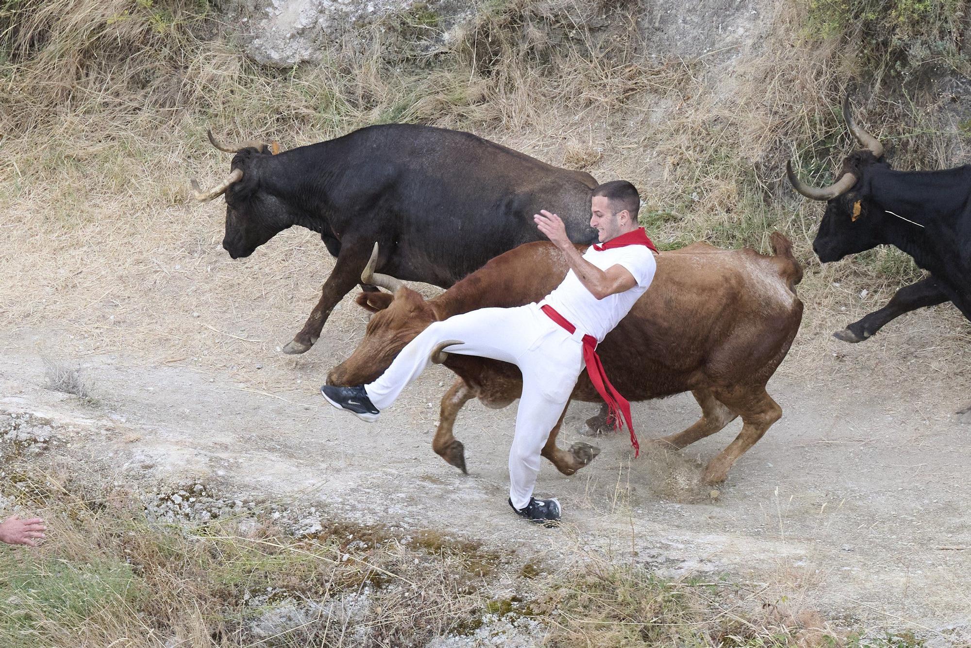 Fotos del tercer encierro del Pilón de Falces 2025