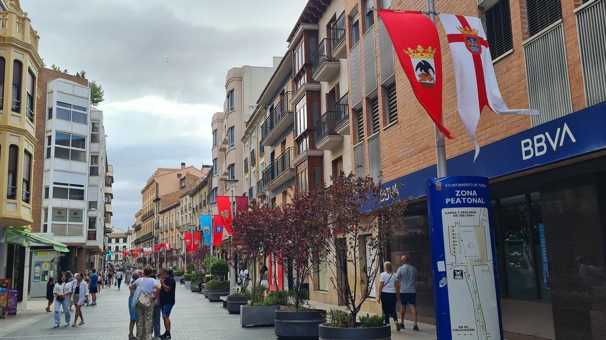La calle Carrera de Tudela engalanada con banderas de todos los municipios de la Merindad.