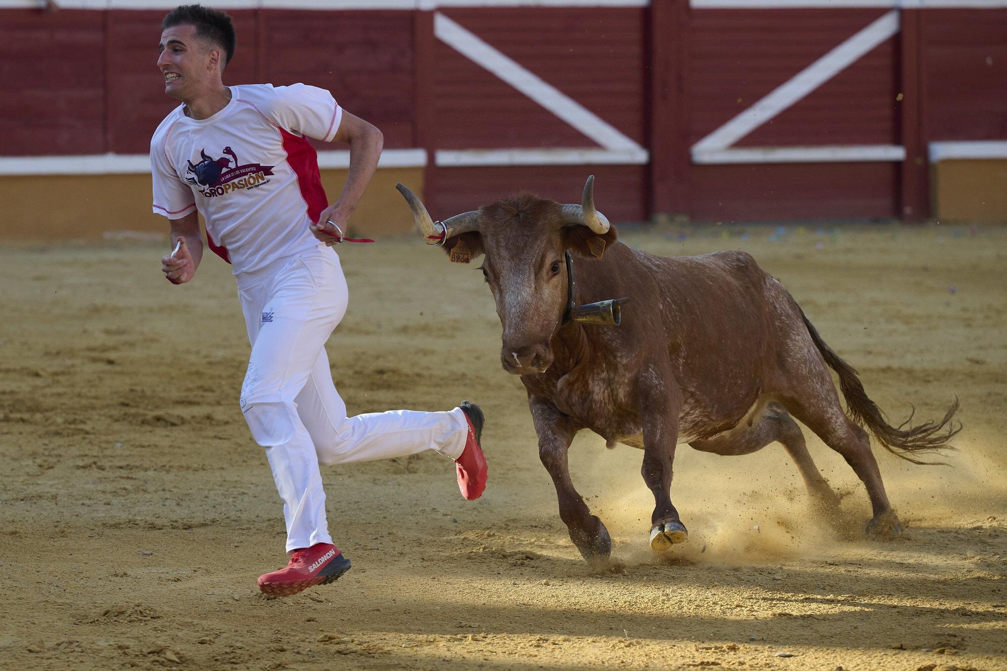Concurso de recortadores con anillas