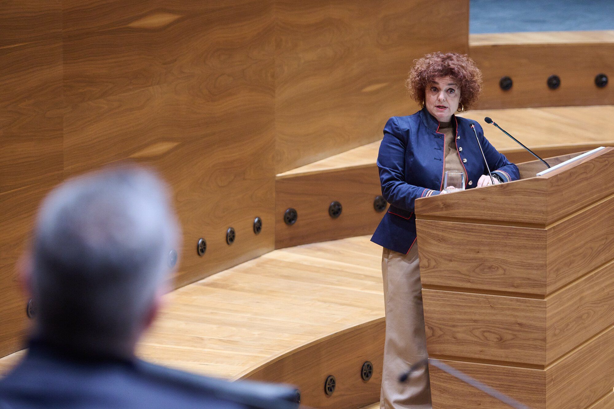 Pleno del Parlamento de Navarra del jueves 2 de marzo