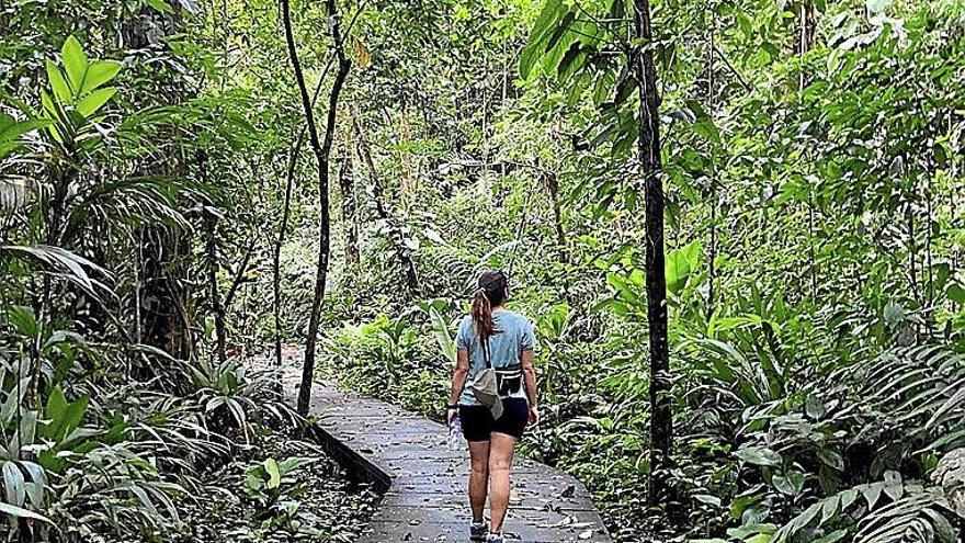 Caminando por la selva en Costa Rica.