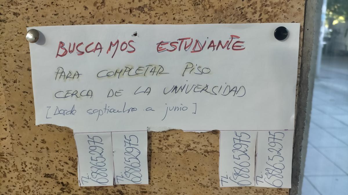 Un anuncio colocados en el tablón de anuncios del campus de Ibaeta en el que se busca una estudiante para compartir piso en Donostia