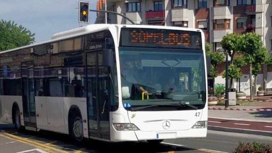 El servicio de Sopelbus se ha renovado este mes.