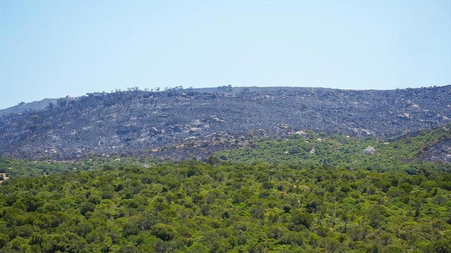 Estabilizado el fuego de Tarifa, que pasa a fase de preemergencia tras el regreso de los desalojados