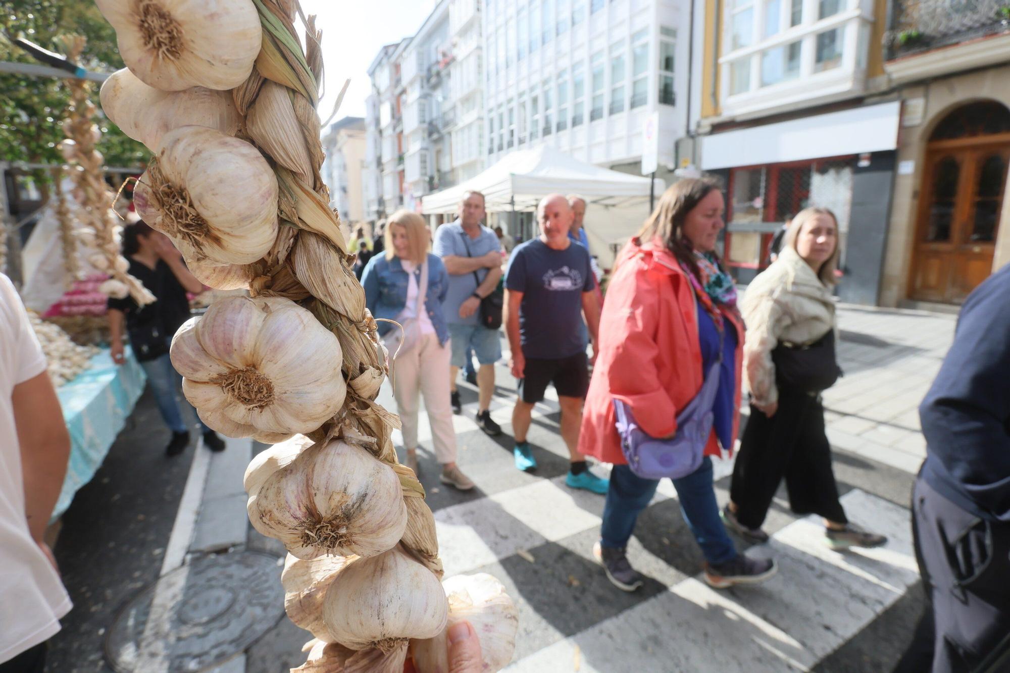 En imágenes: La feria de ajos atrae a los vitorianos un año más