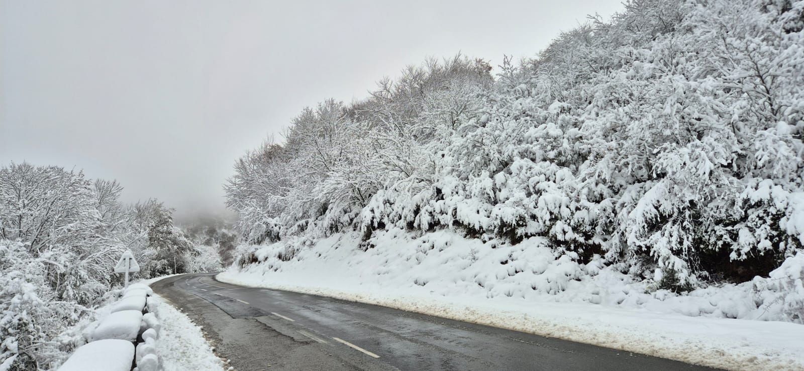 La nieve regala una preciosa estampa en Bernedo