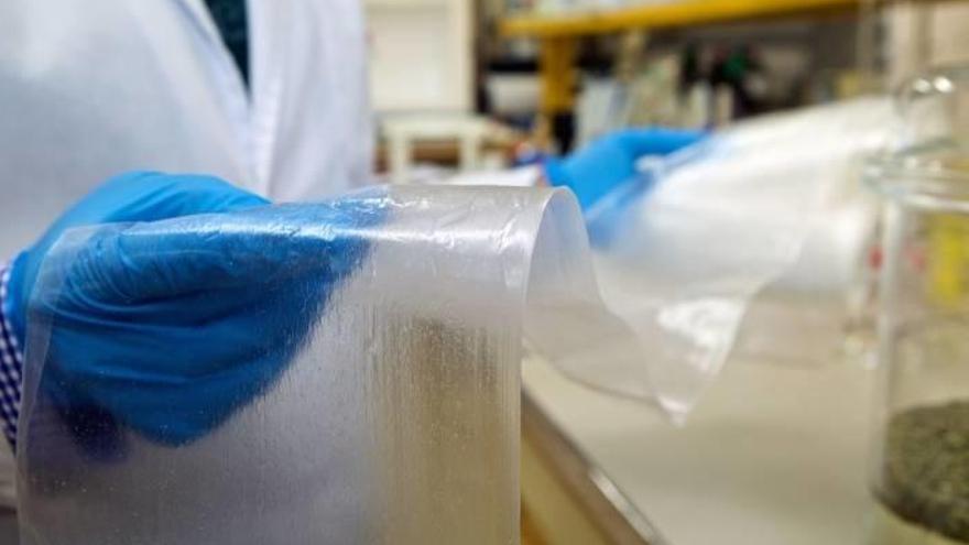 Aceites de plantas para reducir  las infecciones hospitalarias