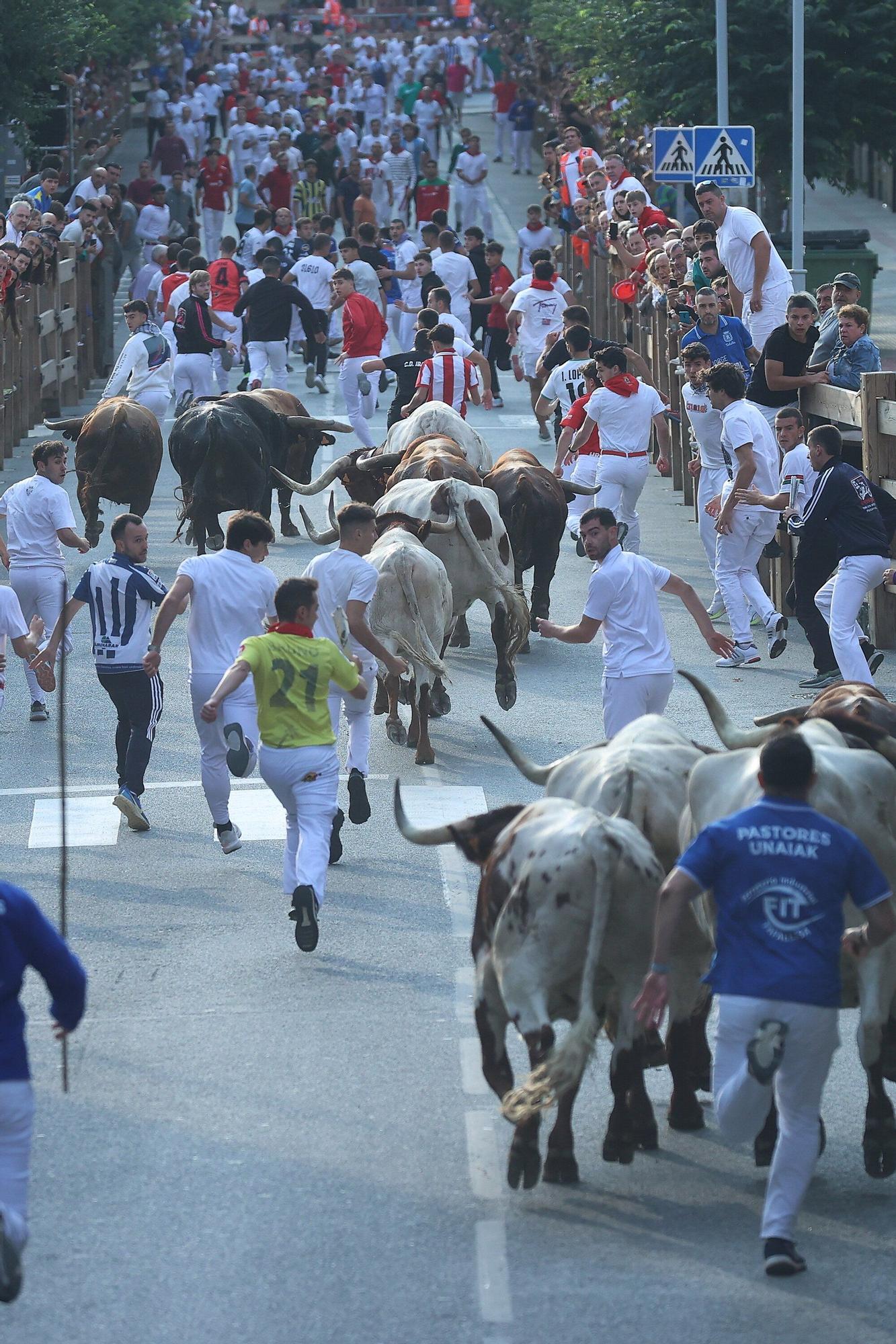 Fotos del quinto encierro de las fiestas de Tafalla 2025