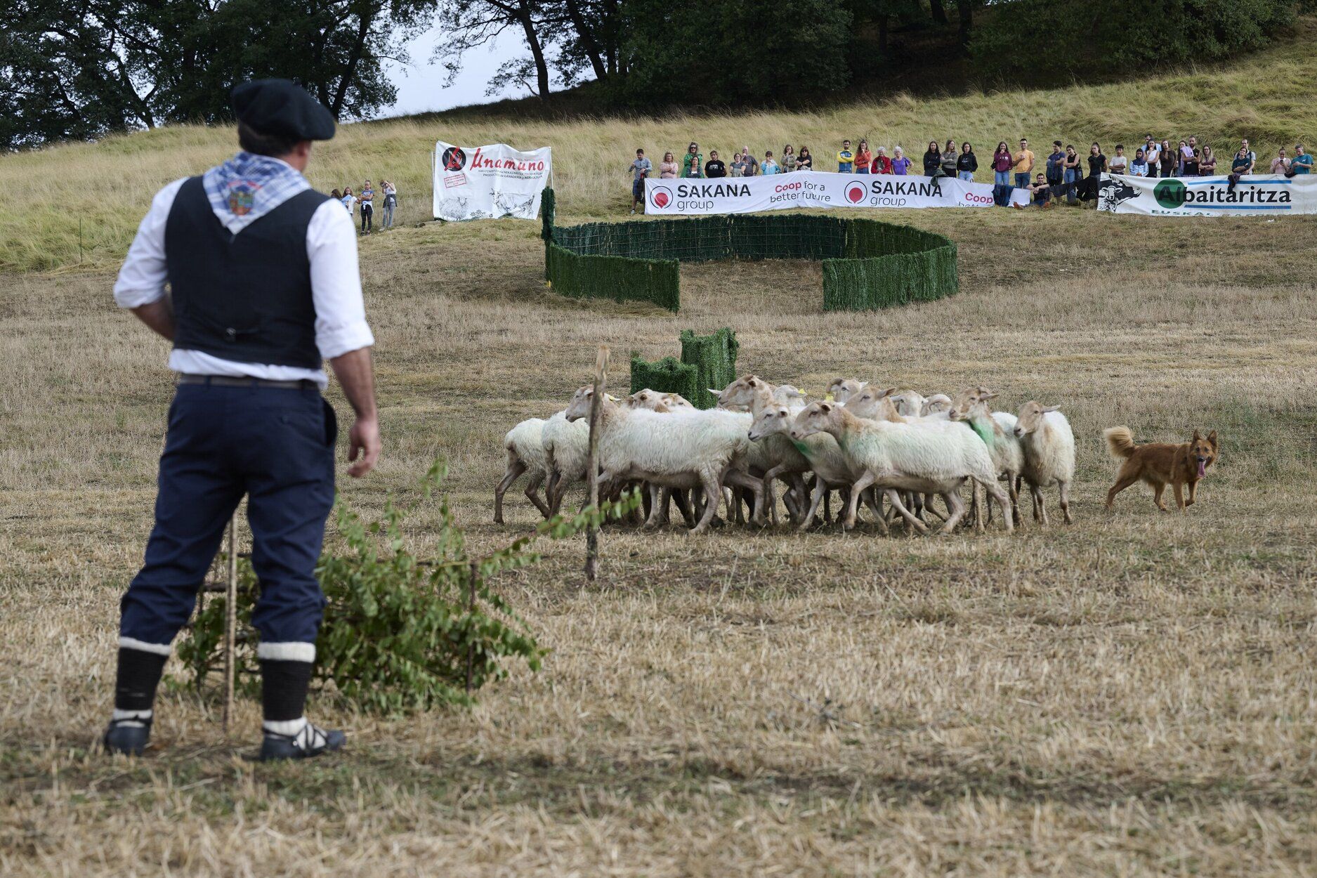 Fotos del Artzai Eguna en Uharte Arakil
