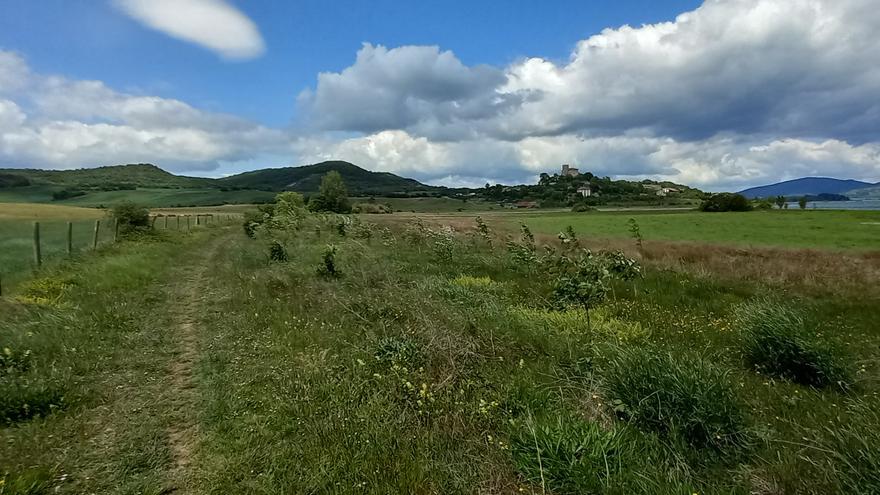 Foru Aldundiak hobetu egingo du Azua eta Langara arteko tartea Urtegiko Ibilbide Berdean