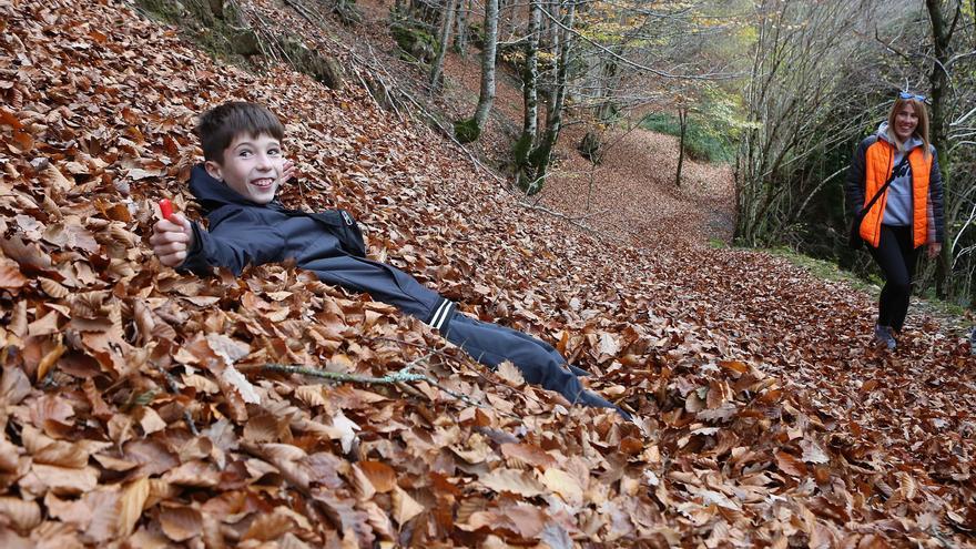 Un otoño para sumergirse
