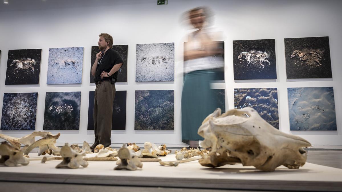 El cineasta y artista islandés Hlynur Pálmason (i), durante la presentación de la primera exposición individual, organizada por Tabakalera en colaboración con Zinemaldia