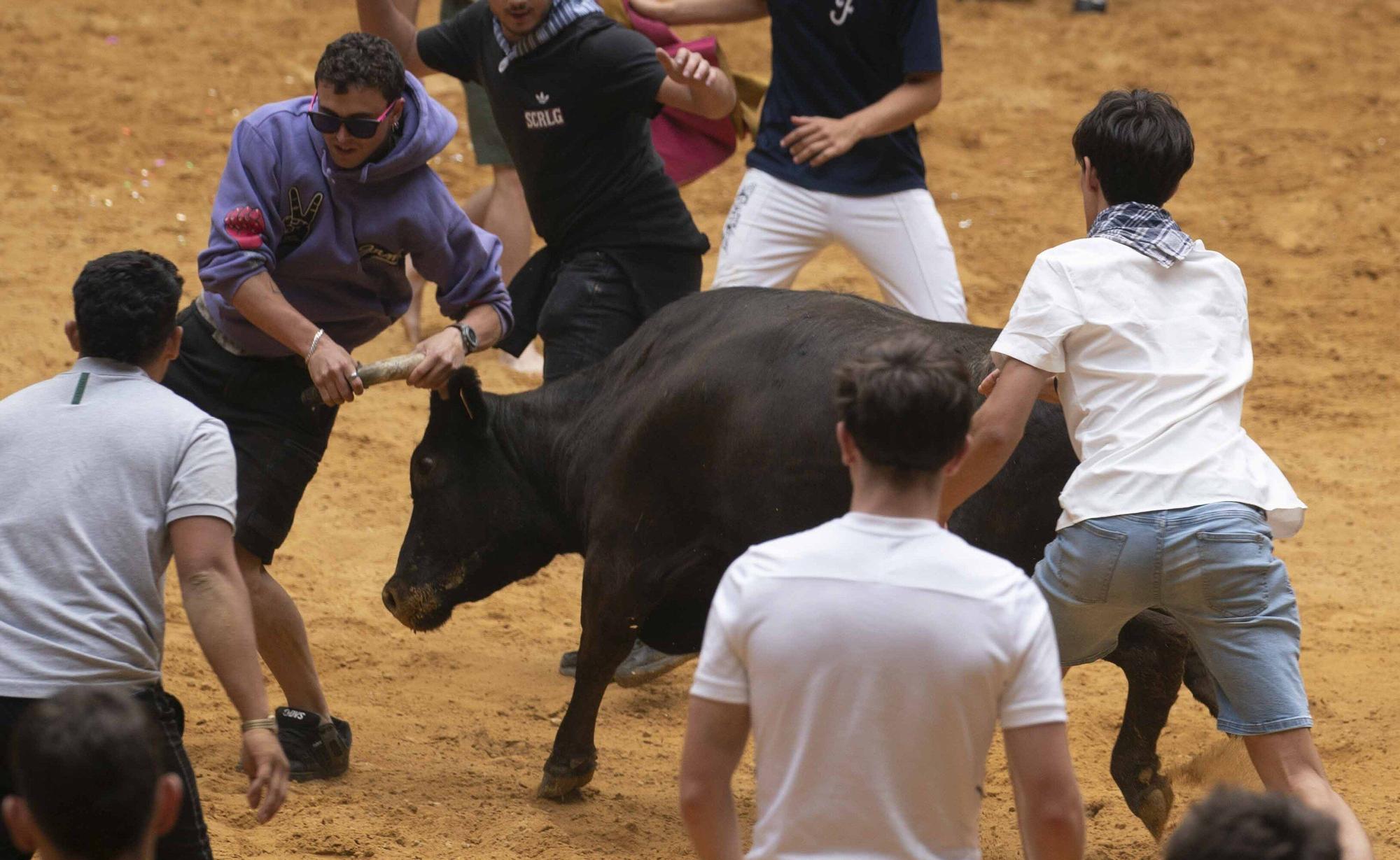 Eb imágenes: Las vaquillas reinan en el Iradier Arena