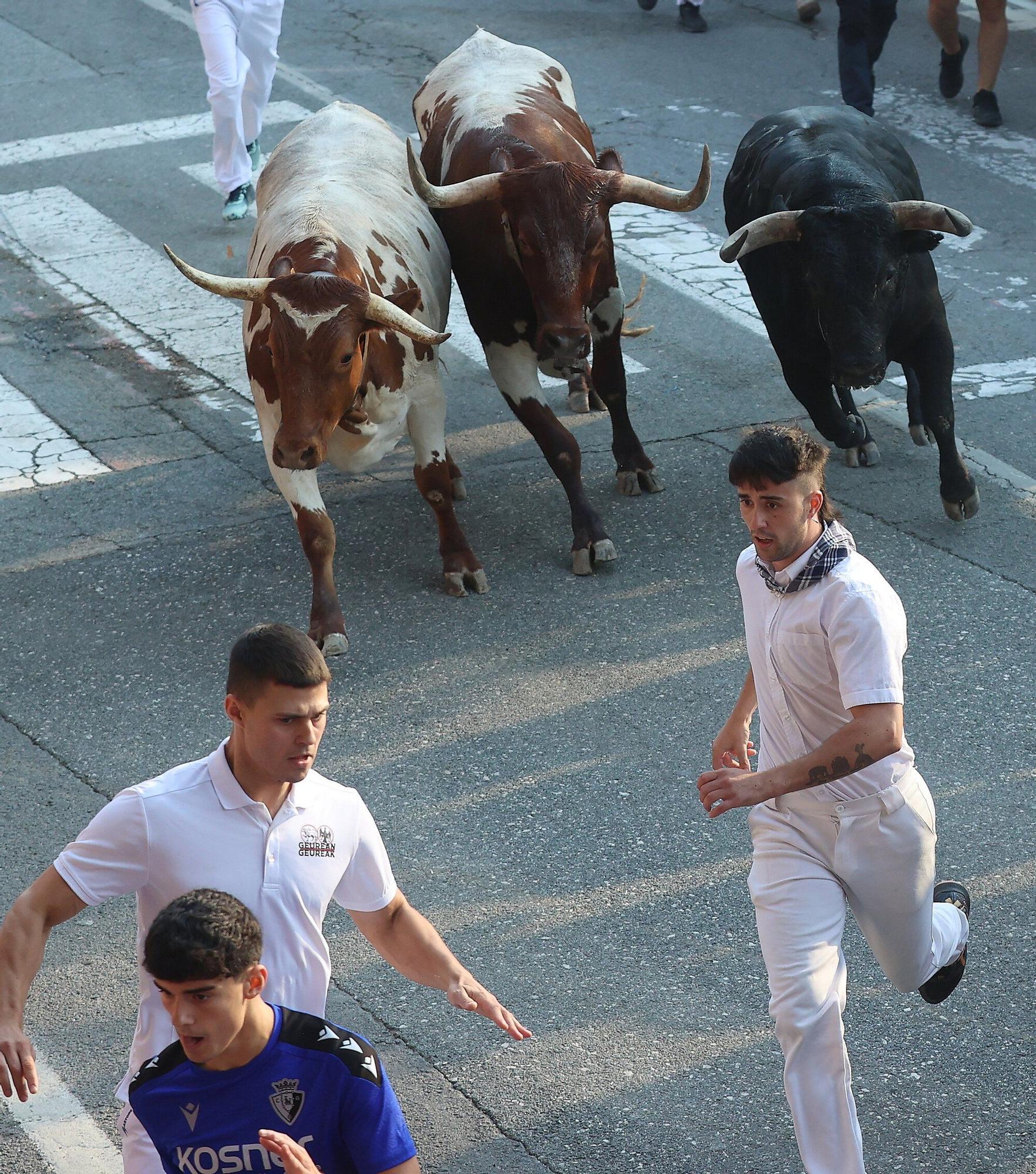 Fotos del segundo encierro de fiestas de Tafalla 2025