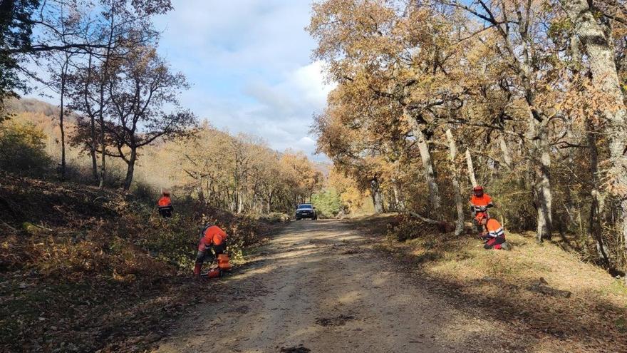 Suteak prebenitzeko lanak hasi ditu Arabako Aldundiak Izkiko Parke Naturalean