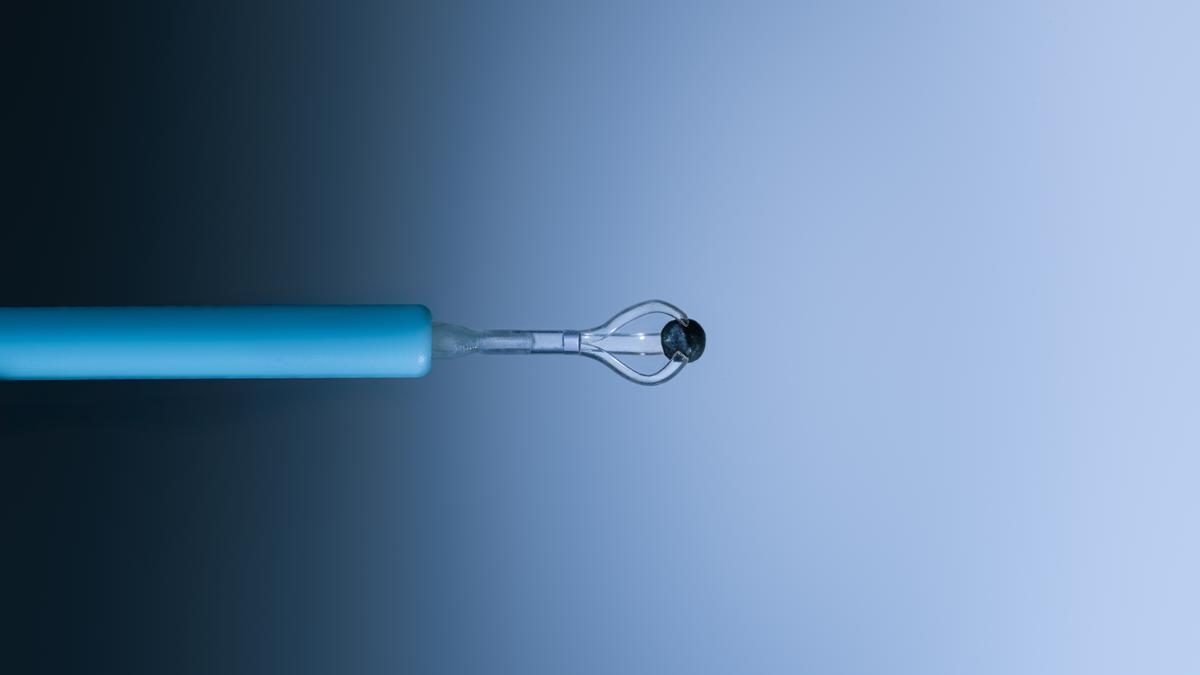 La cápsula de gelatina que contiene el microrrobot y las nanoparticulas es liberada en el torrente sanguíneo mediante un catéter.