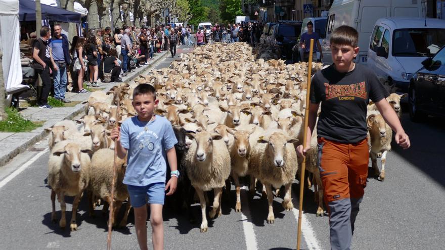 Producto local y mucho más en Etxarri