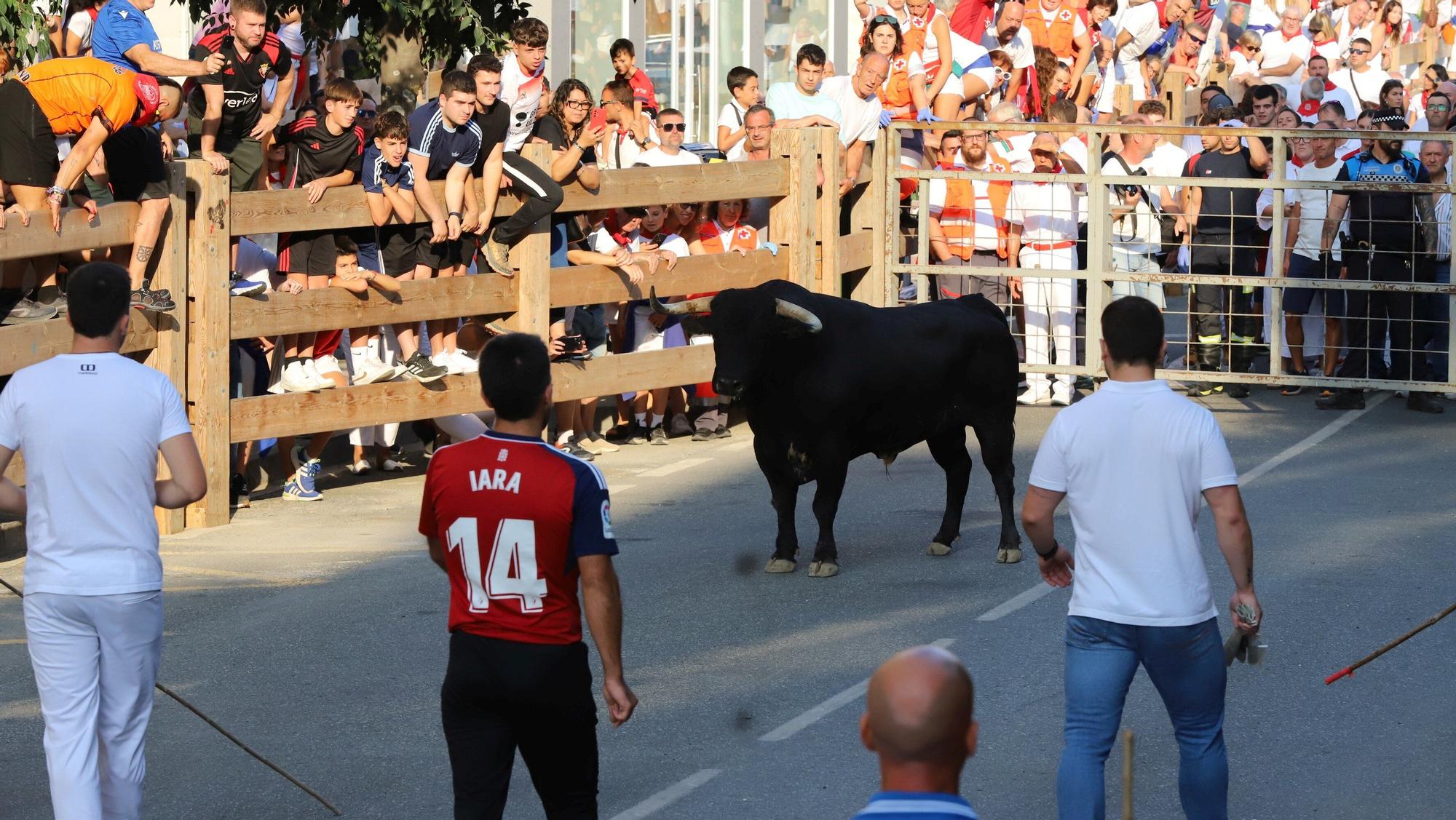 Fotos del primer encierro de fiestas de Tafalla