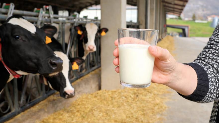 Lacturale, marca recomendada por el Colegio Oficial de Dietistas-Nutricionistas de Navarra