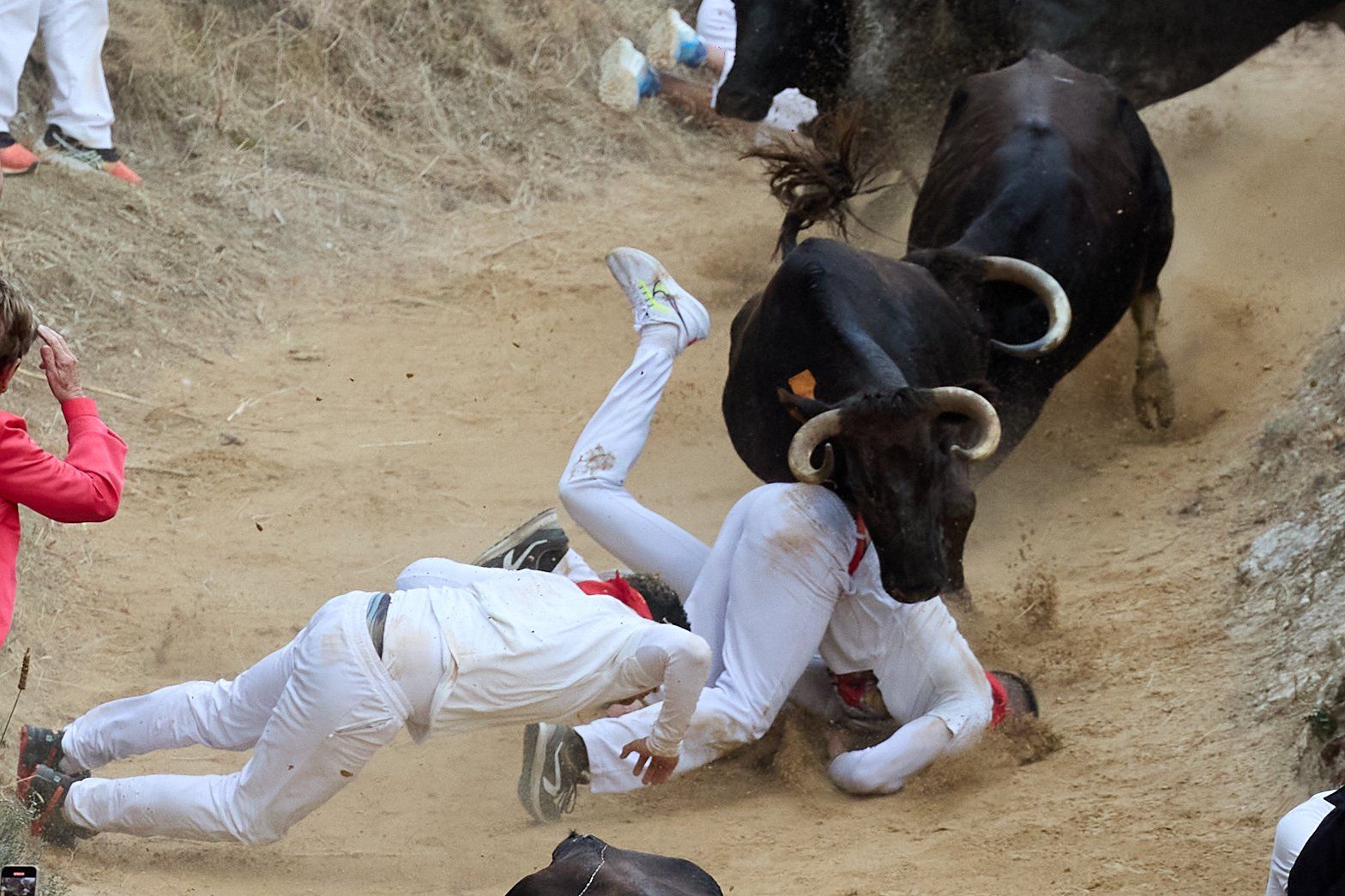 Fotos del tercer encierro del Pilón de Falces 2025