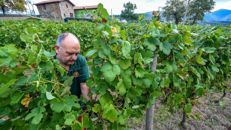Bizkaia: el sector primario como raíz cultural de un territorio
