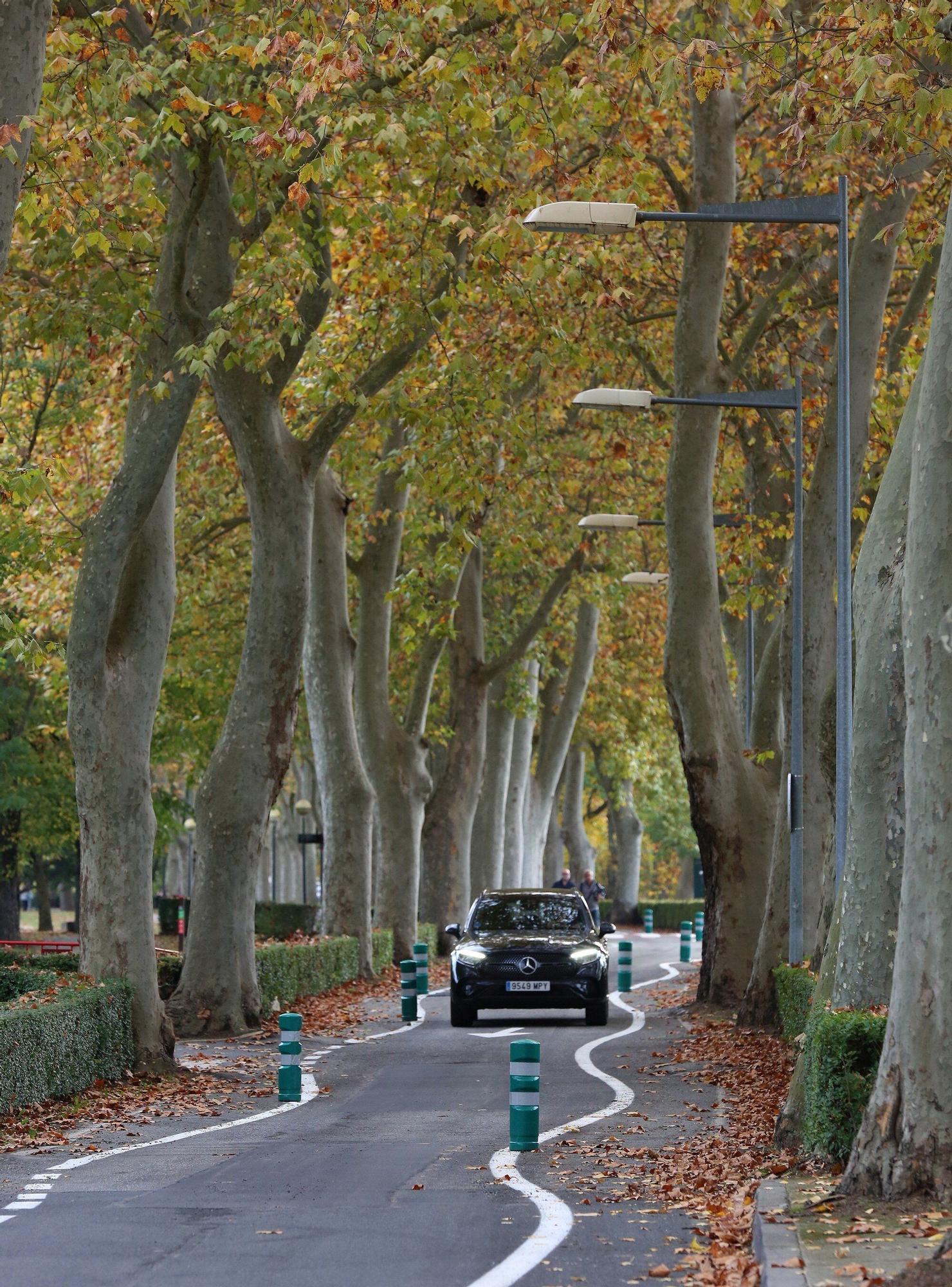 Fotos del nuevo trazado en la carretera de la Universidad de Navarra