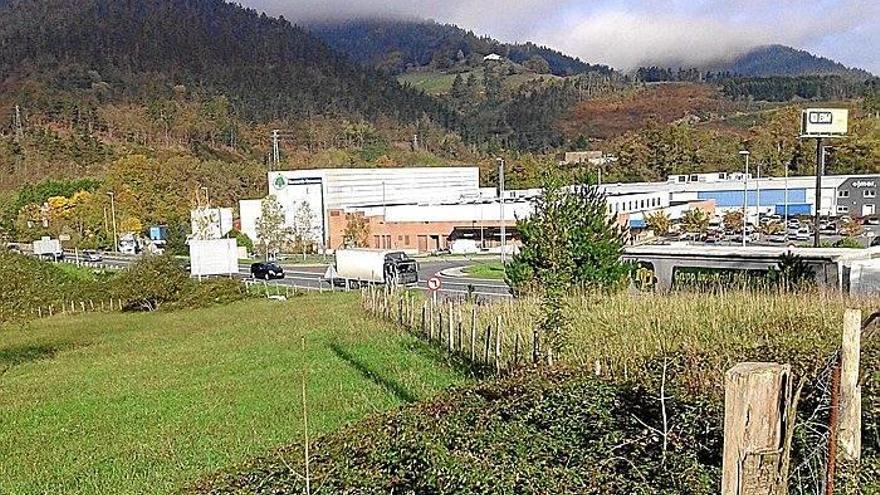 Terrenos de Lerun Txiki-Morterika en los que está prevista la construcción de un nuevo industrialdea.