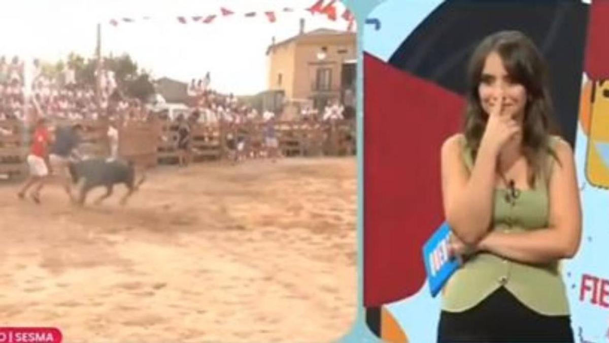 Momento en el que una vaquilla embiste a un reportero de EITB