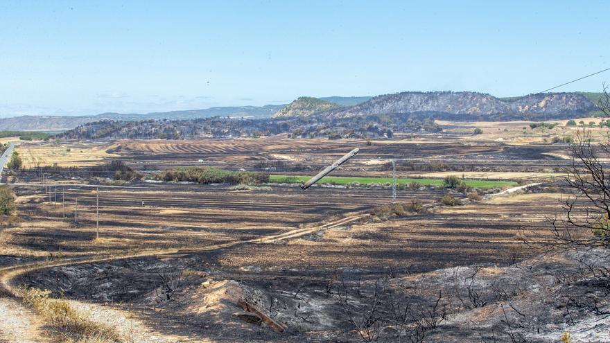 Incendios: más destructivos por el abandono del campo y el cambio climático