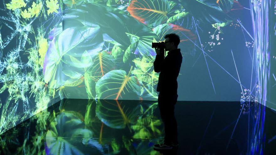 Un universo vegetal imaginario toma Arkabia de la mano de Miguel Chevalier