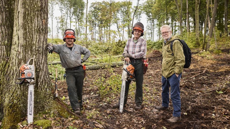 Llega a la Filmoteca el documental que invita a reconectar con los grandes bosques del planeta