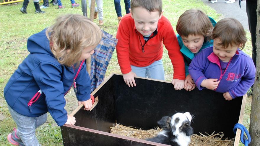 Amurrio aprueba crear una zona de esparcimiento canino