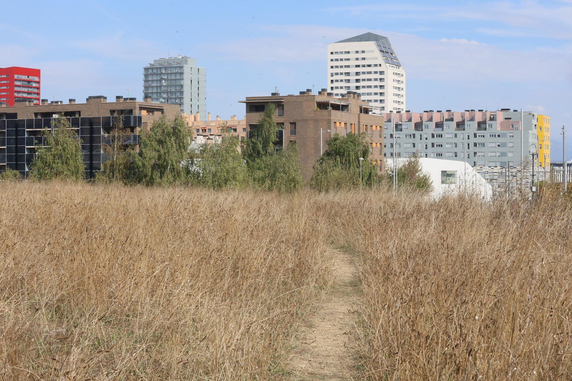 En imágenes: Vitoria-Gasteiz se prepara para adecentar el verde de la ciudad